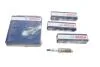 Свіча запалювання Ford Focus, Mondeo, Mazda 6, 93- 0242229902