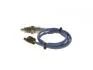 Лямбда-зонд FORD C-Max/Focus/Kuga/Tourneo Connect/Transit Connect 1.0-1.513>> BOSCH 0258030251 (фото 4)