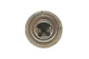 Лампа R2 12V 45/40W P 45t (на наші авто) BOSCH 1 987 302 021 (фото 3)