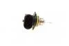 Лампа розжарювання HIR2 12V 55W PX22D BOSCH 1987302026 (фото 3)