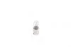 Лампа розжарювання 12V 4W T4W PURE LIGHT BOSCH 1987302207 (фото 2)