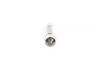 Лампа розжарювання 12V 5W C5W PURE LIGHT BOSCH 1987302211 (фото 4)