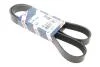 Фото 2 - ремінь поліклінової 8PK1435 BOSCH 1987945501 Ремінь поліклінової 8PK1435 BOSCH 1987945501 (фото 2)