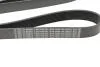 Фото 4 - ремінь поліклінової 8PK1435 BOSCH 1987945501 Ремінь поліклінової 8PK1435 BOSCH 1987945501 (фото 4)
