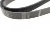 Фото 3 - ремень П-клиновый 7PK1845 BOSCH 1987945720 Ремень П-клиновый 7PK1845 BOSCH 1987945720 (фото 3)