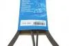 Ремінь п-клинової 6pk1830 BOSCH 1987946031 (фото 6)