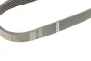 Ремень поликлиновый BOSCH 1987946152 (фото 4)