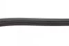 Ремень поликлиновый 5PK1790 BOSCH 1987946239 (фото 4)