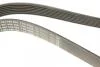 Ремень П-клиновый 7PK2535 AUDI A8 \&#039;\&#039;02-06 BOSCH 1987946284 (фото 4)