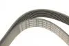 Ремень П-клиновый 7PK2535 AUDI A8 \&#039;\&#039;02-06 BOSCH 1987946284 (фото 5)