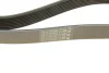 Ремень П-клиновый 8PK1230 BOSCH 1987947047 (фото 4)
