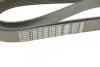 Фото 5 - ремень П-клиновый 8PK1955 BOSCH 1987947062 Ремень П-клиновый 8PK1955 BOSCH 1987947062 (фото 5)