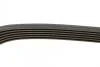 Ремінь п-клинової 6pk1020 BOSCH 1987947817 (фото 3)
