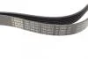 Ремень 7PK2875 FORD Transit 2.4 TDCi BOSCH 1987948401 (фото 2)