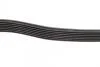 Ремень 7PK2875 FORD Transit 2.4 TDCi BOSCH 1987948401 (фото 4)