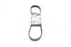 BOSCH Ремень П-клиновой 6PK869 PEUGEOT Partner, Expert, 206/306 98- 1987948484