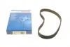 Пасок ГРМ Daewoo Matiz/Tico, Mitsubischi Lancer 1.3/1.5 1987948778