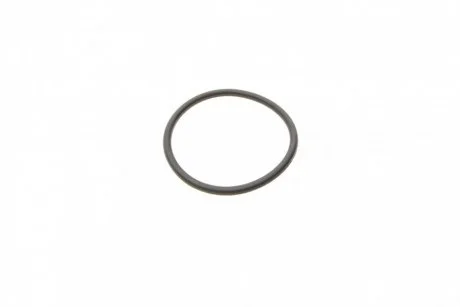 Уплотнительное кольцо ТНВД BOSCH F00R0P0166 (фото 1)