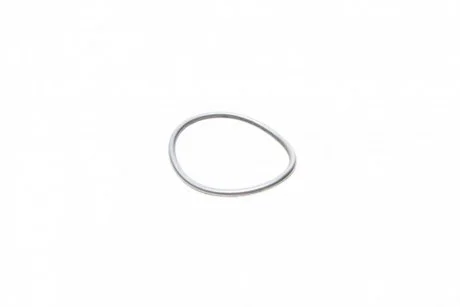Уплотнительное кольцо ТНВД BOSCH F01M100114 (фото 1)