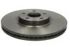 Тормозной диск Painted disk BREMBO 09.N256.21 (фото 1)