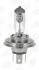 CHAMPION HS1 12V 35/35W Мотолампа CBH31S