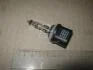 Лампа розжарювання H27W/1 12V 27W PG13 CHAMPION CBM39S (фото 2)