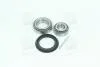 Подшипник ступицы VW GOLF I-IV, PASSAT 81- задн. мост (COMPLEX) COMPLEX AUTOMOTIVE BEARINGS Sp.z.o.o. CX010 (фото 4)