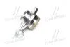 Фото 2 - підшипник маточини SKODA FABIA задн. міст (COMPLEX) COMPLEX AUTOMOTIVE BEARINGS Sp.z.o.o. CX515 Підшипник маточини SKODA FABIA задн. міст (COMPLEX) COMPLEX AUTOMOTIVE BEARINGS Sp.z.o.o. CX515 (фото 2)