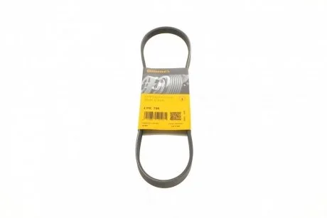 Ремень поликлиновый Contitech 4PK795