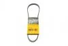 Поликлиновой ремень (Пр-во Contitech) 4PK820