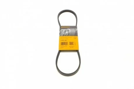 Ремень поликлиновый Contitech 4PK841
