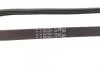 Ремінь генератора BMW 3/5/7 (E90/E91/E60/61/65/66) 2.5/3.0D Contitech 4PK850 ELAST (фото 3)