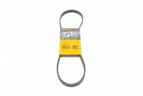 Ремінь генератора A6/Elantra/Carens/Ceed/Cerato/Grand Vitara 89- Contitech 4PK890