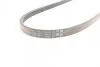 Поликлиновый ремень (Вр-во) Contitech 4PK903ELAST (фото 3)