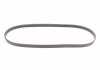 Ремінь полікліновий DAEWOO LANOS седан (KLAT) 1.6 16V Contitech 5PK1005 (фото 4)