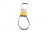 Ремень поликлиновый (Выр-во Contitech) 5PK1166EXTRA