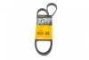 Ремень генератора 5PK1250 Berlingo/Partner 1.1/1.4/1.6i 97> (PS,+AC)