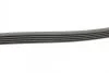 Поликлиновой ремень MERCEDES-BENZ VANEO (414) 1.6 02/02-07/05 Contitech 5PK1290 (фото 2)