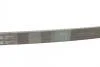 Поликлиновой ремень MERCEDES-BENZ VANEO (414) 1.6 02/02-07/05 Contitech 5PK1290 (фото 3)