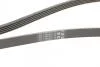 Ремінь генератора BMW/Hyundai/KIA Contitech 5PK1815 (фото 3)