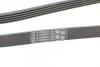 Ремінь полікліновий BMW 3/5/7 E38/E39/E46 Contitech 5PK2060 (фото 3)