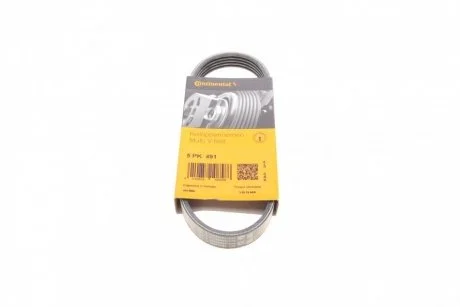 Ремень поликлиновой Contitech 5PK491