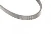 Ремень генератора 5PK 690 Fusion/Fiesta 1.2-1.6i 01- Contitech 5PK690 ELAST (фото 3)