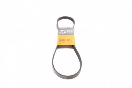 Пас поліклиновий Contitech 5PK975