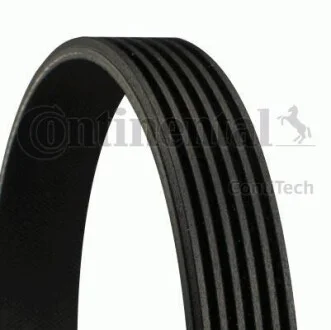 Ремень поликлиновый Contitech 6PK1008