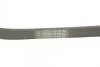 Ремень поликлиновой Contitech 6PK1019ELAST (фото 3)