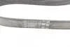 Ремкомплект приводного ремня Contitech 6PK1019 ELAST T1 (фото 10)