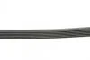 Ремінь генератора Fabia/Octavia 1.4 16V >01 (PS) Contitech 6PK1060 (фото 2)