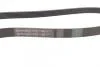 Ремінь генератора Jumper/Boxer 3.0 HDi Contitech 6PK1165 (фото 2)