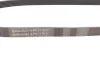 Ремінь генератора Jumper/Boxer/Ducato 2.0/2.2 HDi 02- Contitech 6PK1173 (фото 2)
